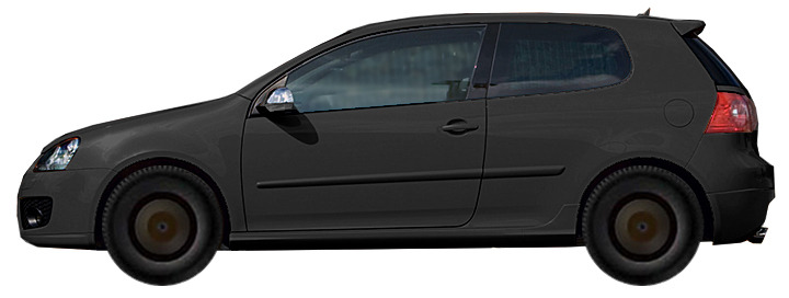 Volkswagen Golf V 1K1 Hatchback 3d (2003-2009) 1.9 TDI